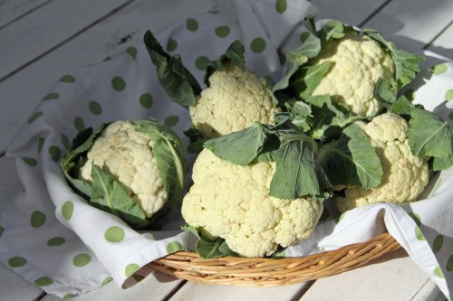 Pienet ja sievät, eurolla kasvattajalta.