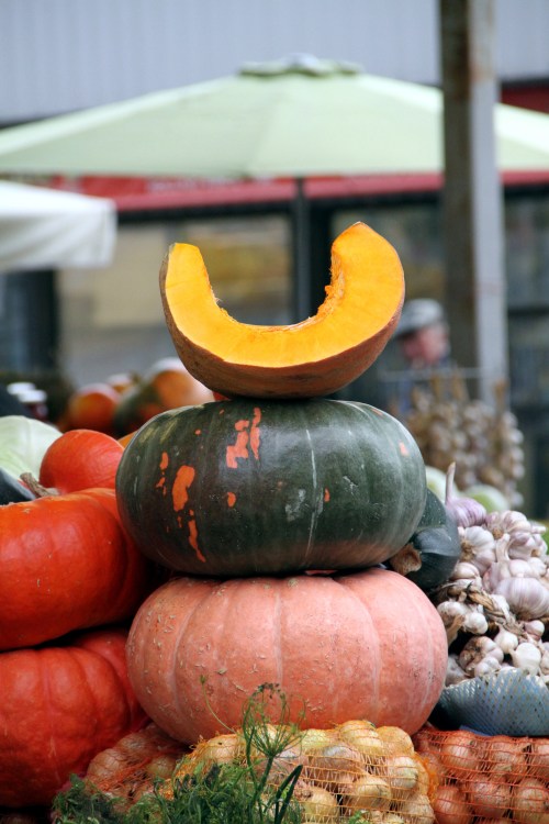 Virolaiset ovat ensiluokkaisia kurpitsankasvattajia. Tallinnan toreilla komeita yksilöitä näkee juuri tähän aikaan vuodesta. 