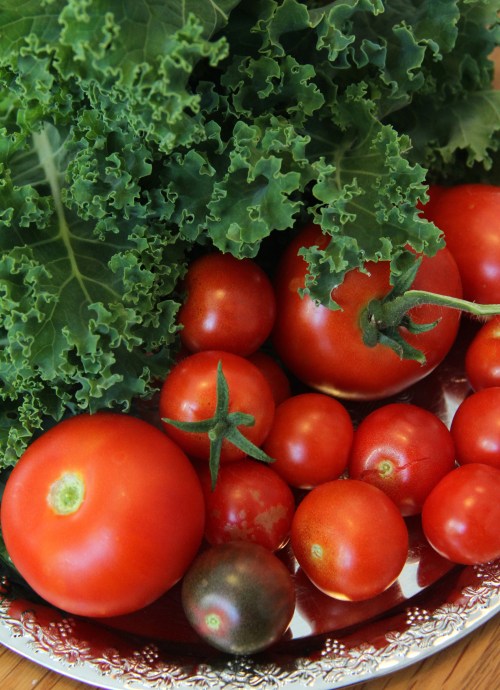 Omaa lehtikaalia, omia tomaatteja!