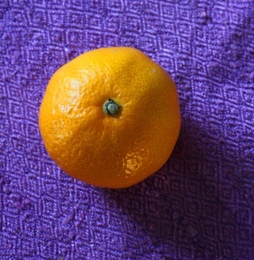 Joo, sen voi keittää. Ota tuo kanta kuitenkin pois.