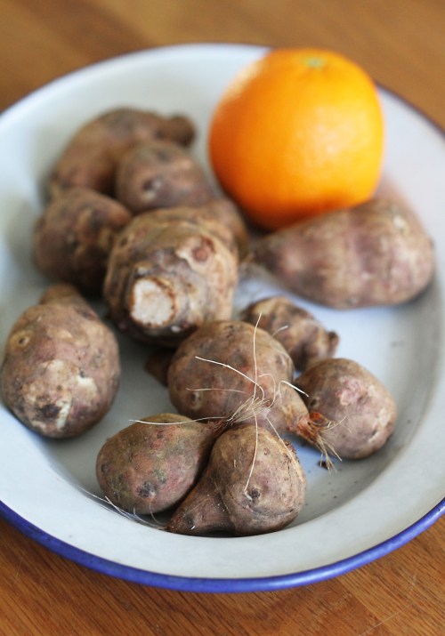 Pitäsikö kasvattaa ensi kesänä maa-artisokat itse?