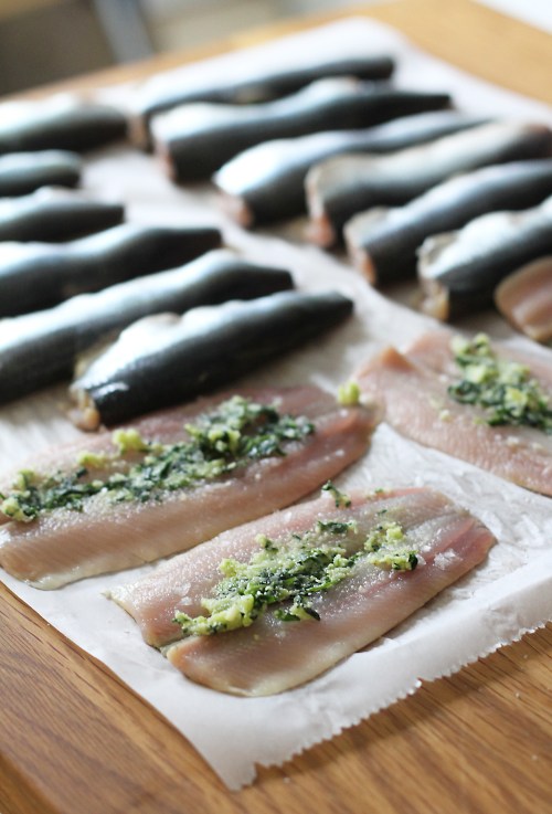 Levitä täyte kaloille ja taita ne kaksinkerroin.