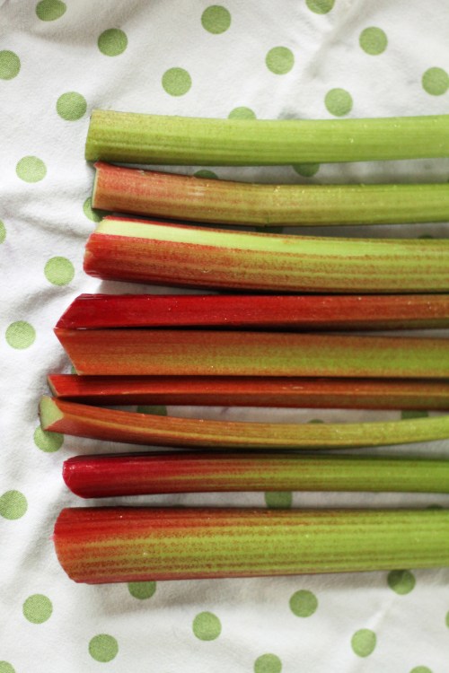 Kuori raparperit ja pilko ne noin viiden sentin pätkiksi.