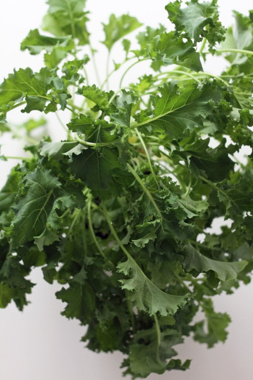 Lehtikaalia saa jo kaupasta ympäri vuoden. Viimeksi tiskeille ovat ilmestyneet ruukkuversiot.